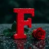 farahfary3