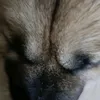h3nl3x_xx