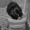 yaya_05zzz