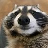 user_56475575