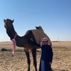 m_711hrr