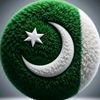 1886zubairgujjar