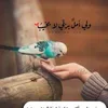 user9961985253190
