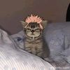 hugo_0.5.1