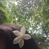 nurainasahipa