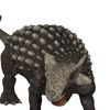 dinosaurrsrawr