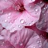 reel.mohamed7
