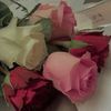 zahraaslam523