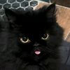 bubbleyies_171