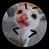 user3390406313045