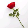 last_amira