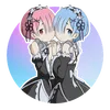 asupnimer.z3