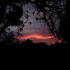 alex_838049