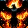 fenixfire201