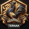 TERMUL MILITAN