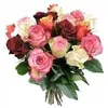 fatima.fatima8267
