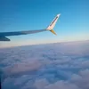 ana_ciarletta