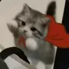 leibereal