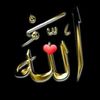 habib.habib1870