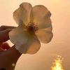 noemi.bonilla73
