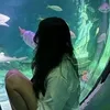 joiemoshy