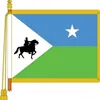 somaliweyn497