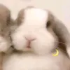 iwhannahbeyourss