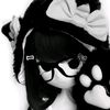 xycpita