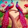 user6722009500197