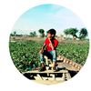 md.raju.ahammed48