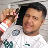 palmeiras2744