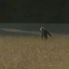 wwthvsby