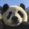store.xinhh