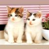 user215119014