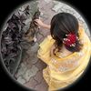 md.bodor8