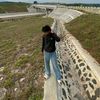 senang_ali
