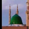 rana.amir9530