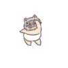 _ntrinhsft