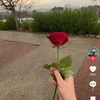 klara_20234