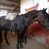 josema__28