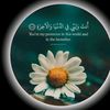 humairasahar4956