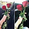 حلا بنت عفرين