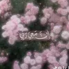 rawanny92