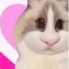 chauielove14