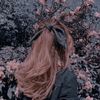 sara.saroch