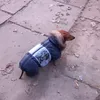 wwwertgnn