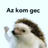 gercoo1997