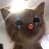 coclnha2