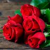 sanakhan54477