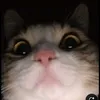lenaa_lenos